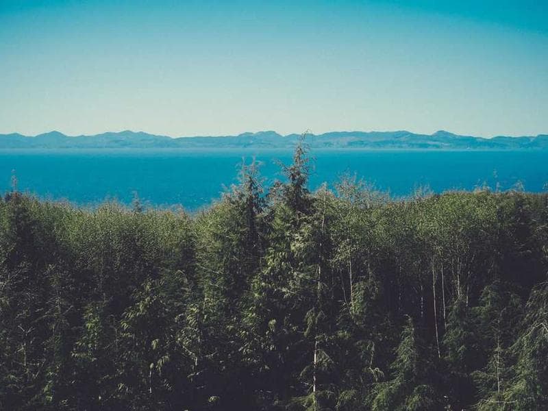 How To Write a German CV that Stands Out with These 7 Proven Tips